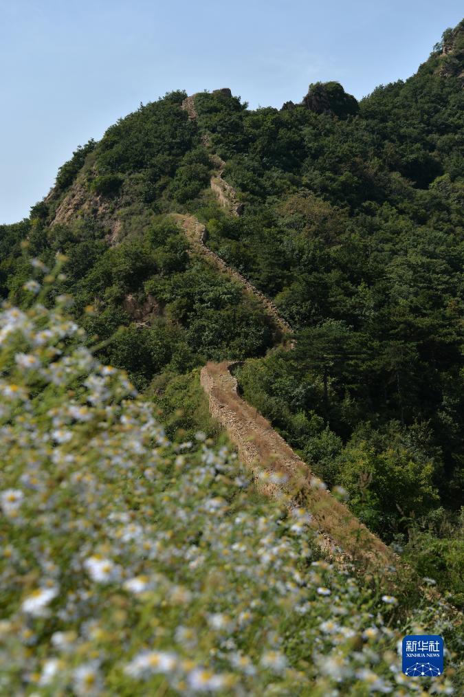B6平台注册